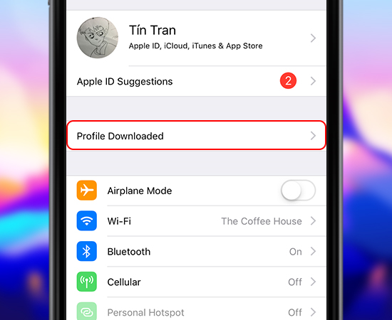Các bạn vào Settings tại màn hình Home, Sau đó chọn Profile Downloaded