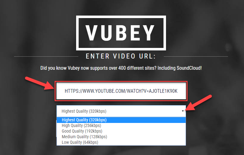 Sao chép và dán đường link video Youtube vào ô “VIDEO URL”